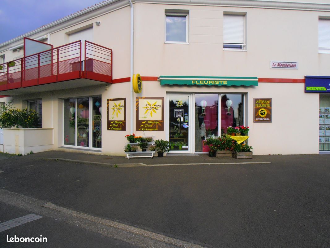 Photo du local